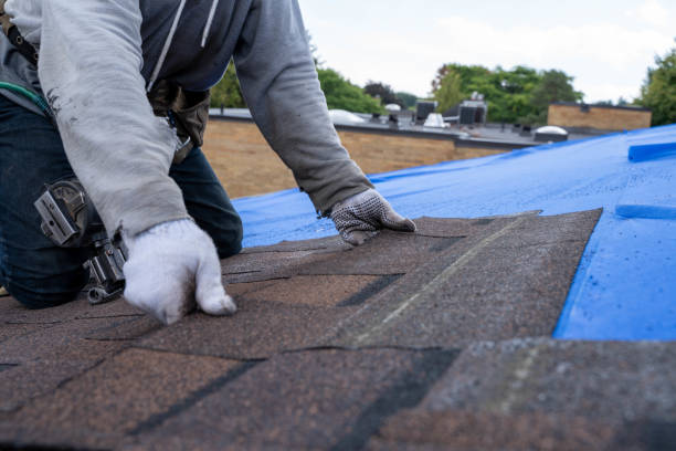 Best Shingle Roofing Installation  in Charlevoix, MI